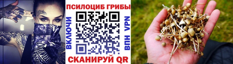 Псилоцибиновые грибы мицелий  где найти наркотики  Геленджик 